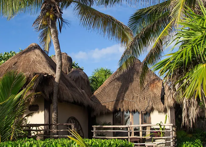 Hotel Playa Esperanza 4*